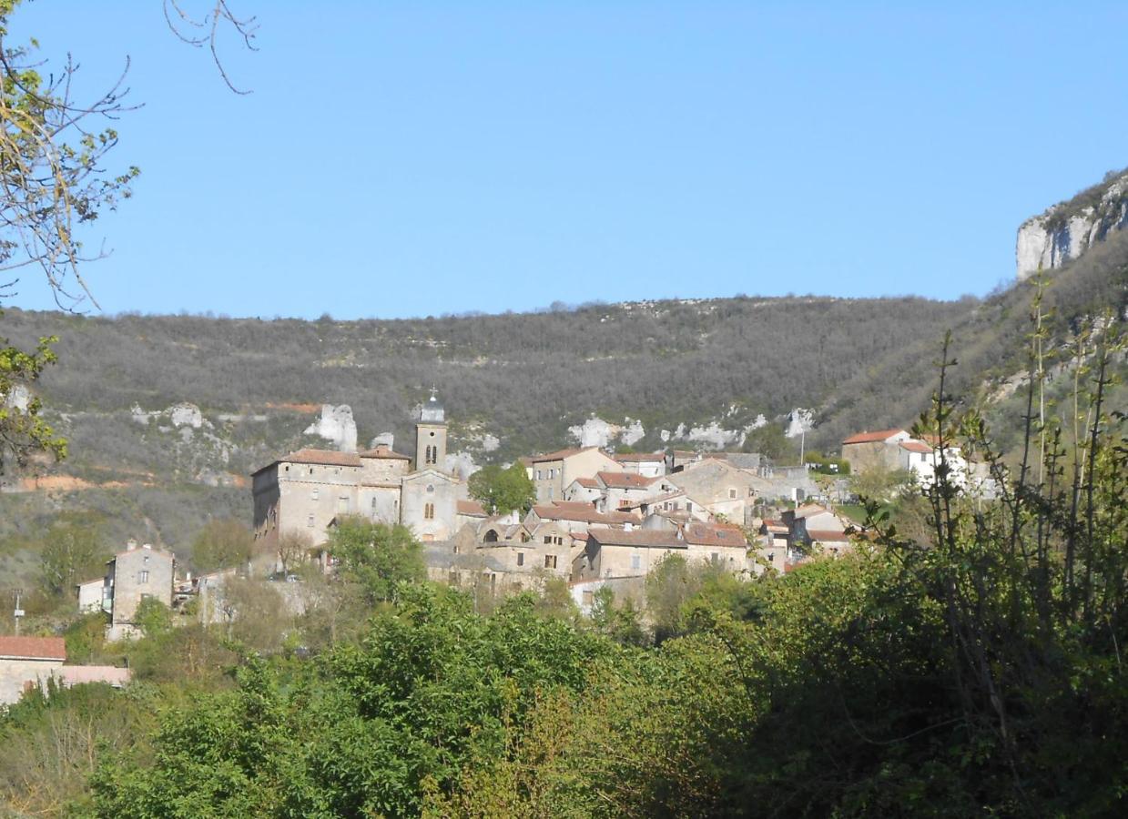 Maison Spacieuse Et Agreable Saint-Georges-de-Luzençon 外观 照片